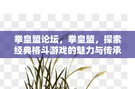 拳皇盟论坛，拳皇盟，探索经典格斗游戏的魅力与传承
