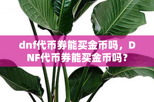 dnf代币券能买金币吗，DNF代币券能买金币吗？