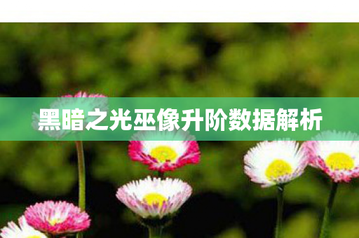 黑暗之光巫像升阶数据解析