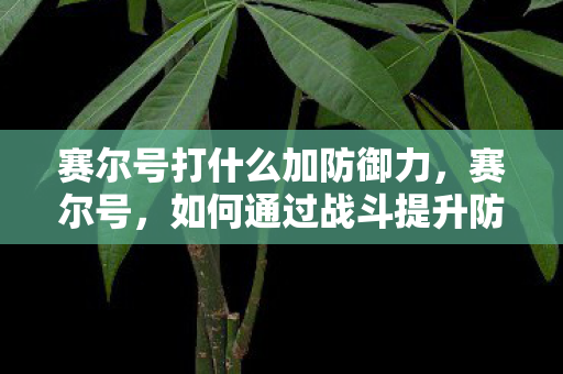 赛尔号打什么加防御力，赛尔号，如何通过战斗提升防御力