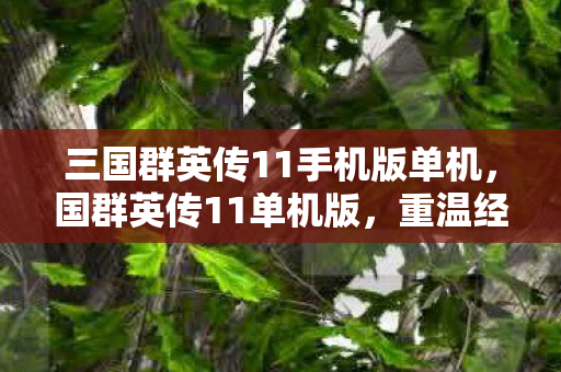 三国群英传11手机版单机，国群英传11单机版，重温经典，尽享单机乐趣