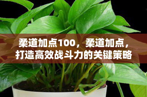 柔道加点100，柔道加点，打造高效战斗力的关键策略