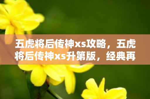 五虎将后传神xs攻略，五虎将后传神xs升第版，经典再现，策略升级