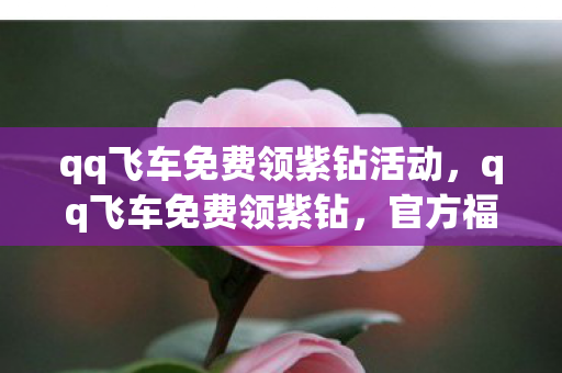 qq飞车免费领紫钻活动，qq飞车免费领紫钻，官方福利大放送，轻松获取紫钻特权