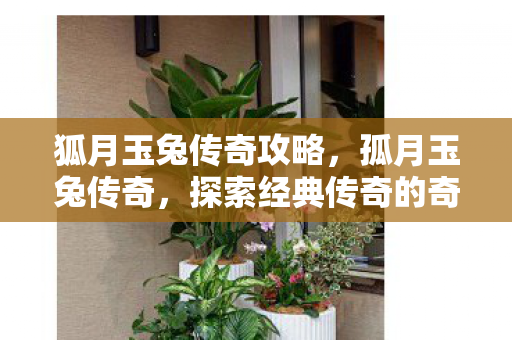 狐月玉兔传奇攻略，孤月玉兔传奇，探索经典传奇的奇幻世界
