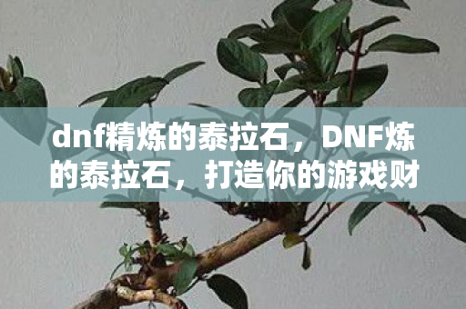 dnf精炼的泰拉石，DNF炼的泰拉石，打造你的游戏财富之路