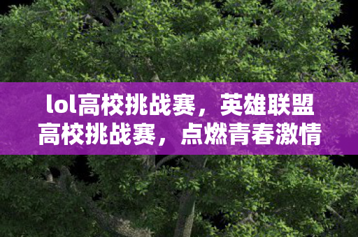 lol高校挑战赛，英雄联盟高校挑战赛，点燃青春激情，展现电竞风采