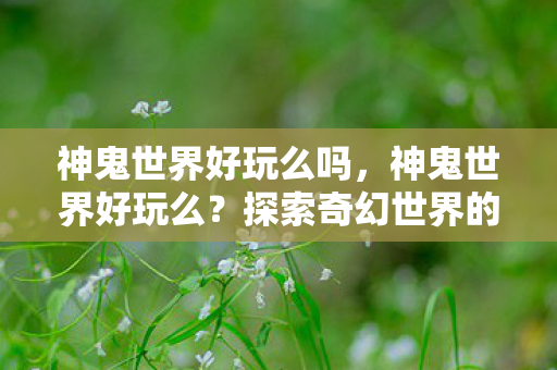 神鬼世界好玩么吗，神鬼世界好玩么？探索奇幻世界的无尽乐趣