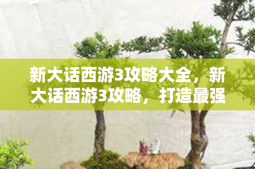 新大话西游3攻略大全，新大话西游3攻略，打造最强角色，畅游三界
