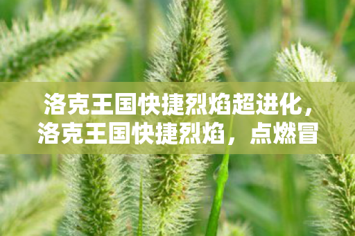 洛克王国快捷烈焰超进化，洛克王国快捷烈焰，点燃冒险的火花