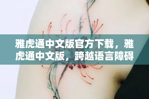雅虎通中文版官方下载，雅虎通中文版，跨越语言障碍的沟通桥梁