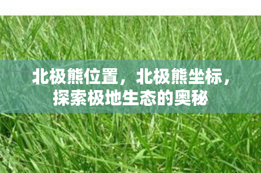北极熊位置，北极熊坐标，探索极地生态的奥秘