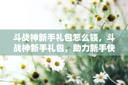 斗战神新手礼包怎么领，斗战神新手礼包，助力新手快速成长