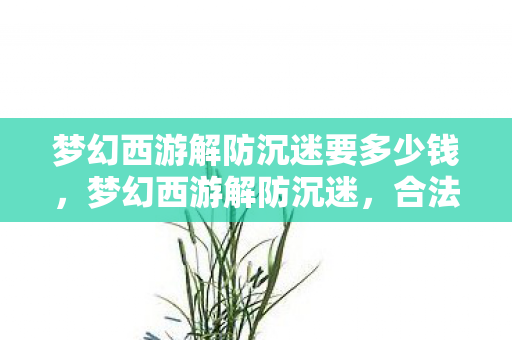 梦幻西游解防沉迷要多少钱，梦幻西游解防沉迷，合法合规，畅享游戏乐趣
