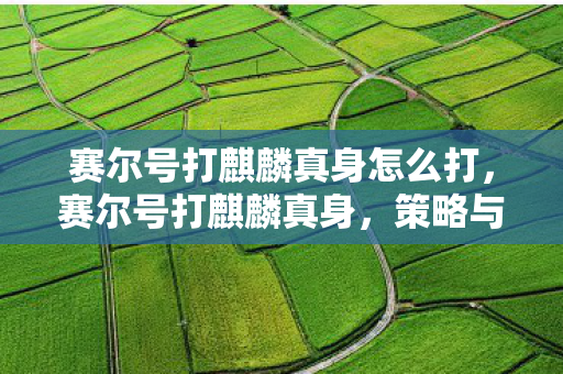 赛尔号打麒麟真身怎么打，赛尔号打麒麟真身，策略与技巧的深度解析