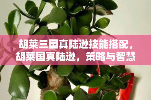胡莱三国真陆逊技能搭配，胡莱国真陆逊，策略与智慧的碰撞