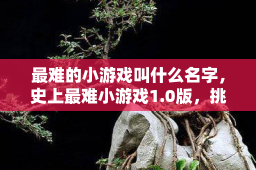 最难的小游戏叫什么名字，史上最难小游戏1.0版，挑战玩家极限的益智冒险