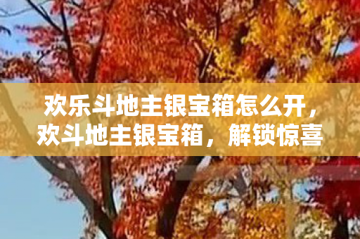 欢乐斗地主银宝箱怎么开，欢斗地主银宝箱，解锁惊喜，赢取丰厚奖励