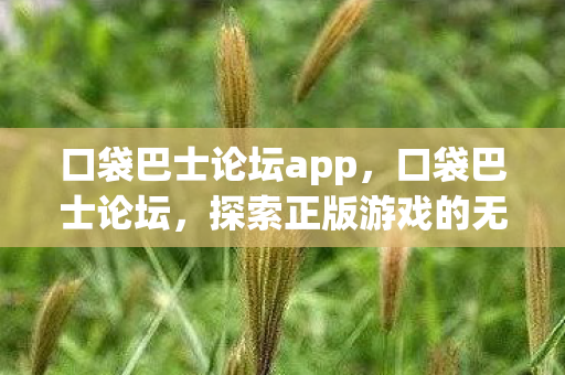 口袋巴士论坛app，口袋巴士论坛，探索正版游戏的无限可能