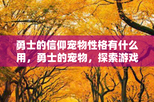 勇士的信仰宠物性格有什么用，勇士的宠物，探索游戏中的忠诚伙伴