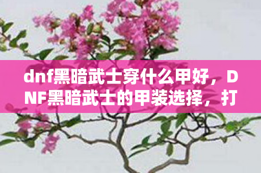 dnf黑暗武士穿什么甲好，DNF黑暗武士的甲装选择，打造最强战斗力的关键
