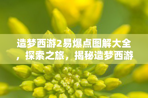 造梦西游2易爆点图解大全，探索之旅，揭秘造梦西游2隐藏易爆点，策略制胜的地图指南！