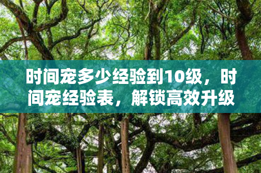 时间宠多少经验到10级，时间宠经验表，解锁高效升级新姿势