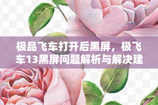 极品飞车打开后黑屏，极飞车13黑屏问题解析与解决建议