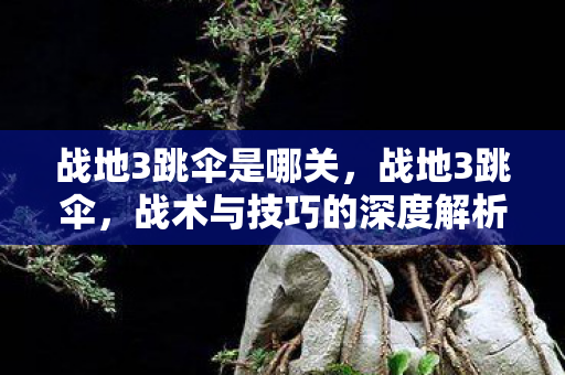 战地3跳伞是哪关，战地3跳伞，战术与技巧的深度解析