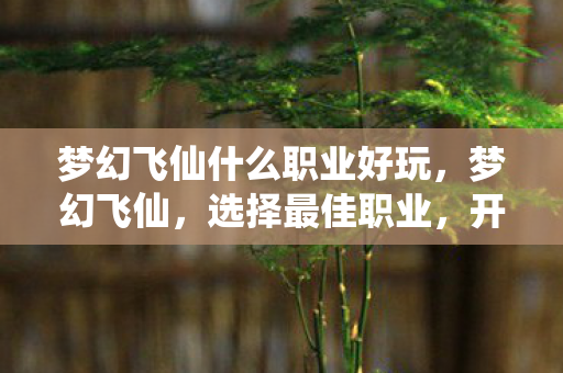 梦幻飞仙什么职业好玩，梦幻飞仙，选择最佳职业，开启修仙之旅
