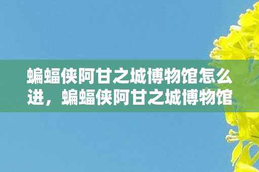 蝙蝠侠阿甘之城博物馆怎么进，蝙蝠侠阿甘之城博物馆，探索虚拟世界的奇幻之旅