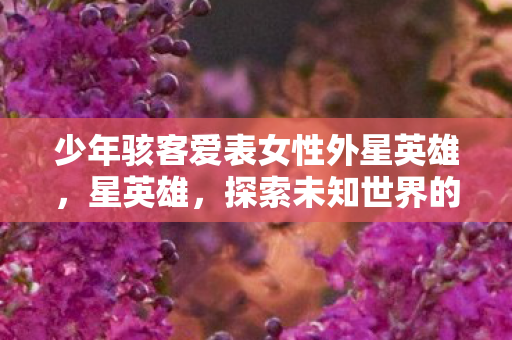少年骇客爱表女性外星英雄，星英雄，探索未知世界的奇幻之旅