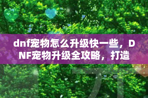 dnf宠物怎么升级快一些，DNF宠物升级全攻略，打造强力战斗伙伴