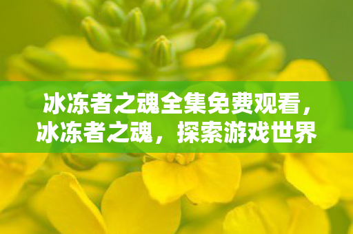 冰冻者之魂全集免费观看，冰冻者之魂，探索游戏世界的冰封奥秘