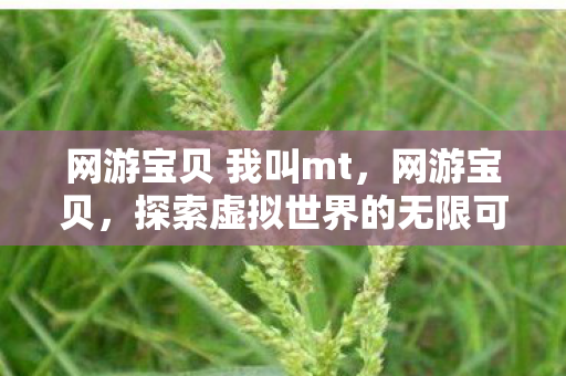 网游宝贝 我叫mt，网游宝贝，探索虚拟世界的无限可能