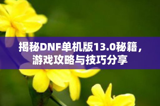 揭秘DNF单机版13.0秘籍，游戏攻略与技巧分享