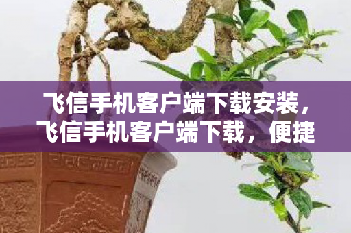 飞信手机客户端下载安装，飞信手机客户端下载，便捷沟通，尽享高效生活