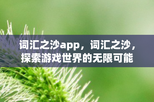 词汇之沙app，词汇之沙，探索游戏世界的无限可能