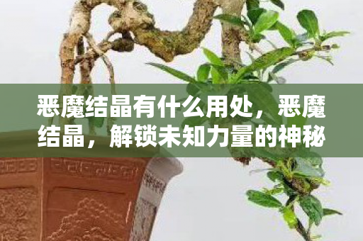 恶魔结晶有什么用处，恶魔结晶，解锁未知力量的神秘钥匙