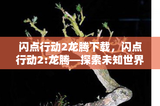 闪点行动2龙腾下载，闪点行动2:龙腾—探索未知世界的奇幻之旅