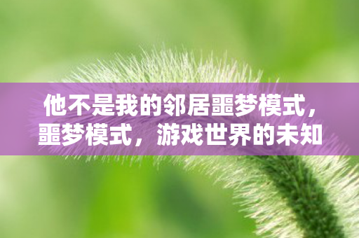 他不是我的邻居噩梦模式，噩梦模式，游戏世界的未知挑战与玩家心理