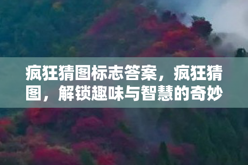 疯狂猜图标志答案，疯狂猜图，解锁趣味与智慧的奇妙之旅