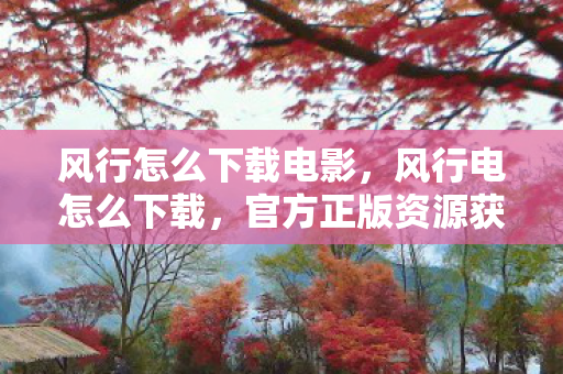 风行怎么下载电影，风行电怎么下载，官方正版资源获取指南