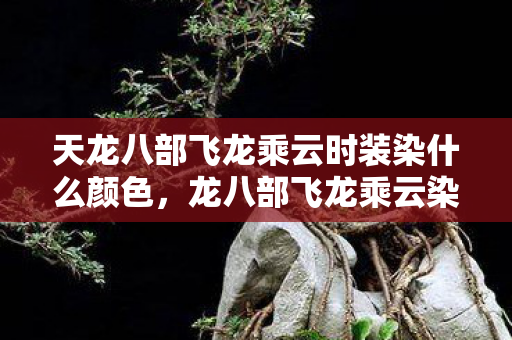 天龙八部飞龙乘云时装染什么颜色，龙八部飞龙乘云染，探索经典游戏的魅力与传承