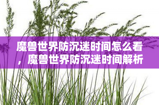 魔兽世界防沉迷时间怎么看，魔兽世界防沉迷时间解析