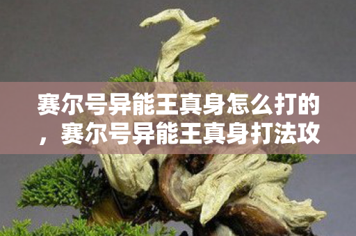 赛尔号异能王真身怎么打的，赛尔号异能王真身打法攻略