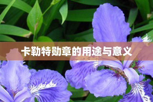 卡勒特勋章的用途与意义 卡勒特勋章的用途与意义