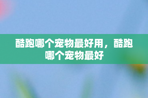 酷跑哪个宠物最好用，酷跑哪个宠物最好