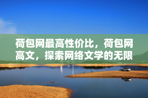 荷包网最高性价比，荷包网高文，探索网络文学的无限可能