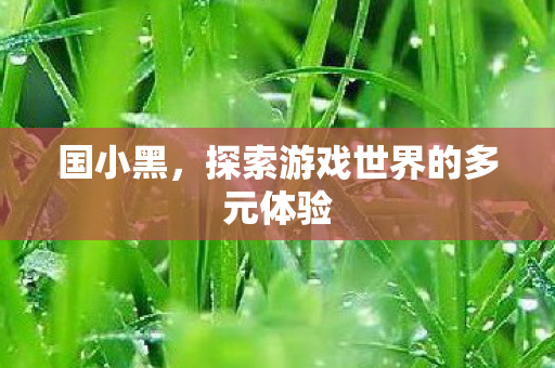 国小黑，探索游戏世界的多元体验